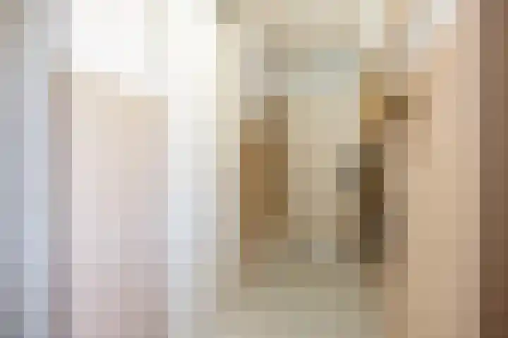 Rietgans 11 Bedum thumbnail 11