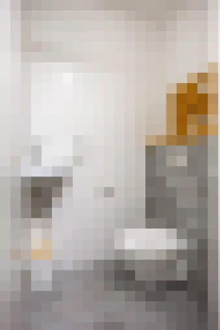 Rietgans 11 Bedum thumbnail 12