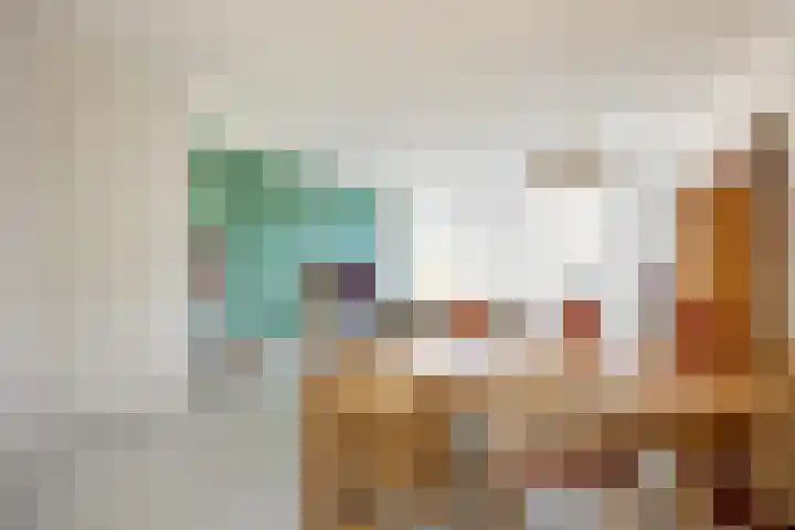 Rietgans 11 Bedum thumbnail 14