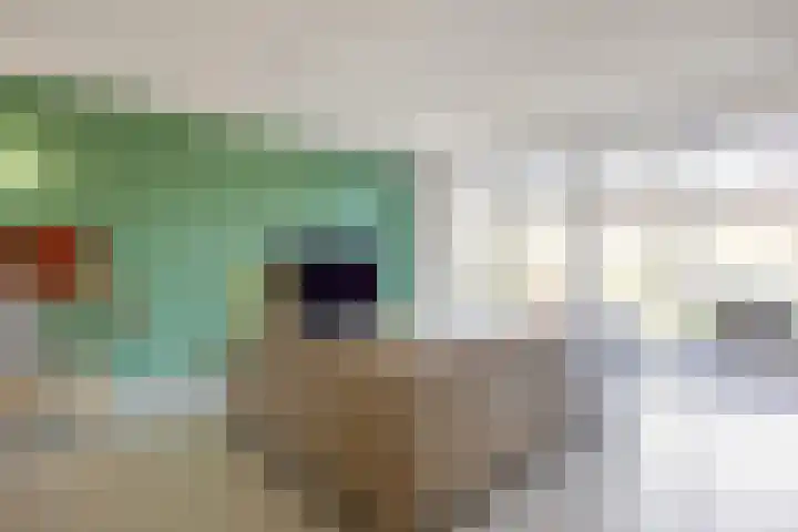 Rietgans 11 Bedum thumbnail 15