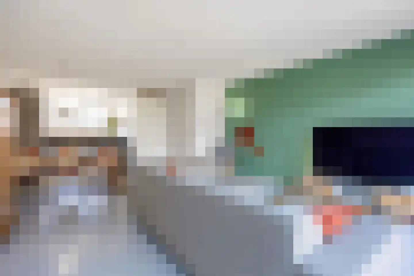 Rietgans 11 Bedum thumbnail 16