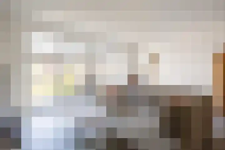 Rietgans 11 Bedum thumbnail 17