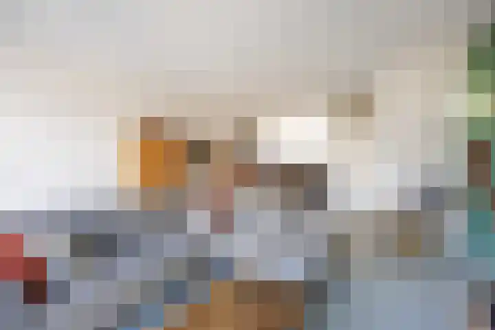 Rietgans 11 Bedum thumbnail 19