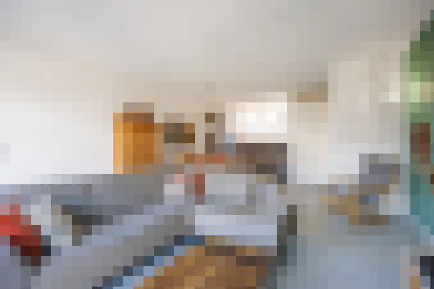 Rietgans 11 Bedum thumbnail 19