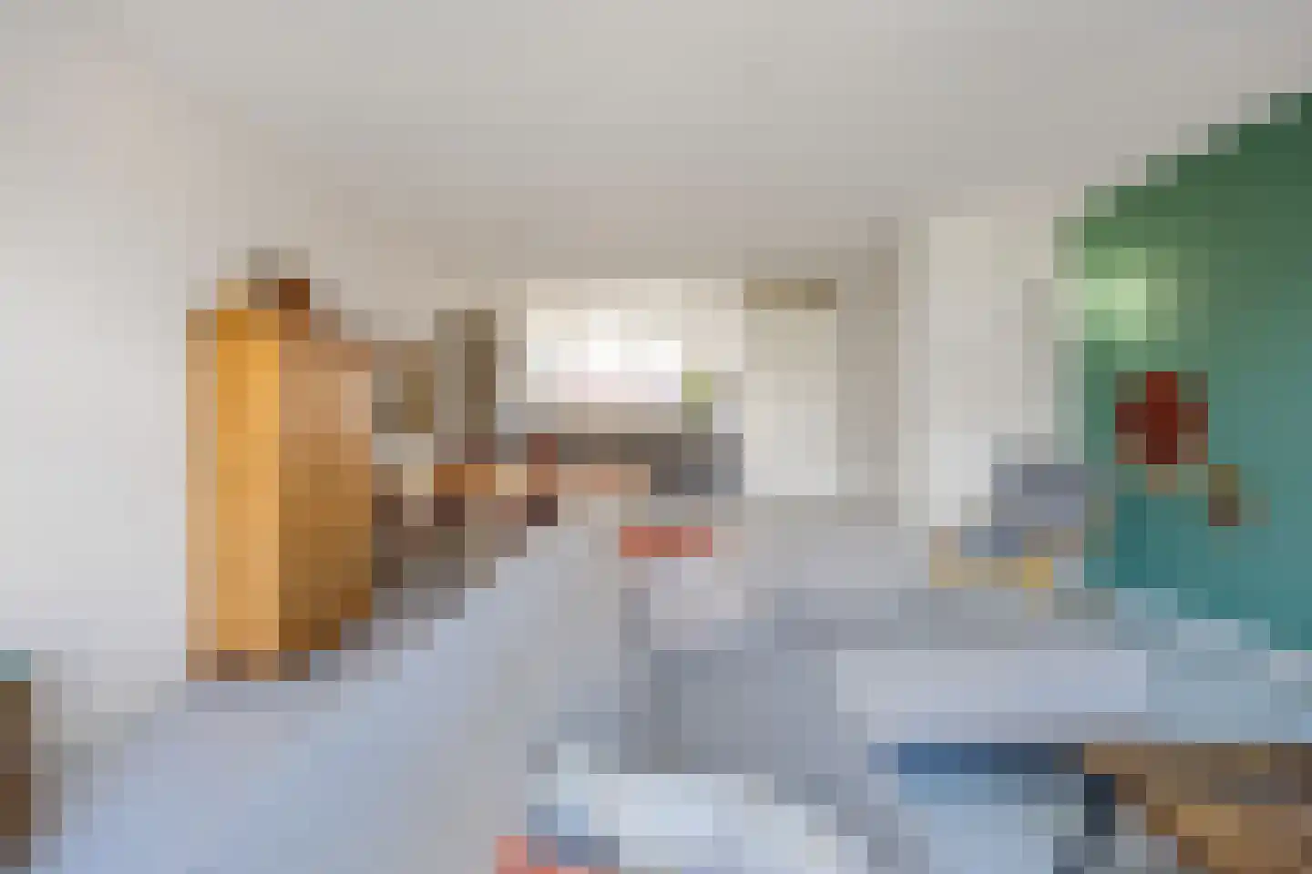 Rietgans 11 Bedum thumbnail 20