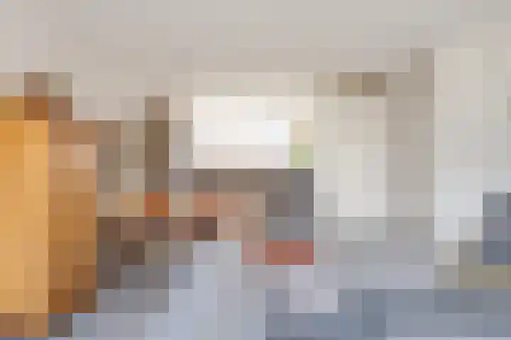 Rietgans 11 Bedum thumbnail 21