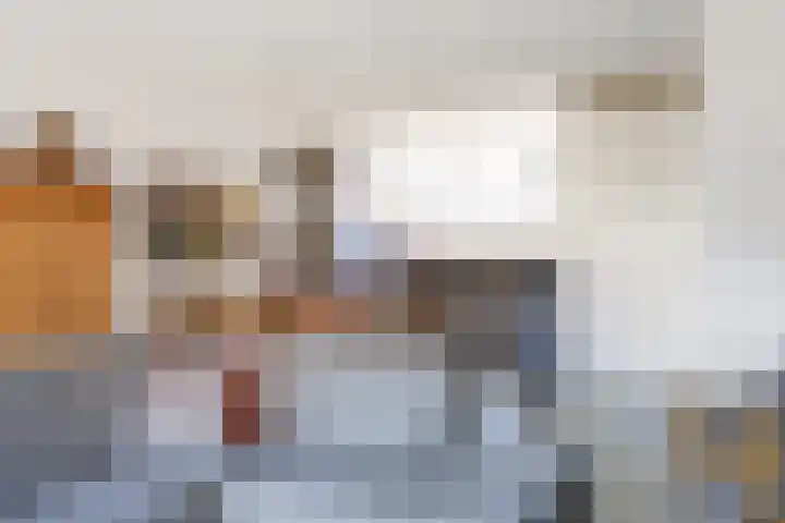 Rietgans 11 Bedum thumbnail 22