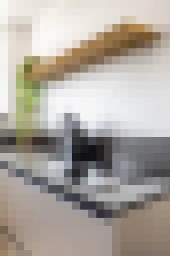 Rietgans 11 Bedum thumbnail 27