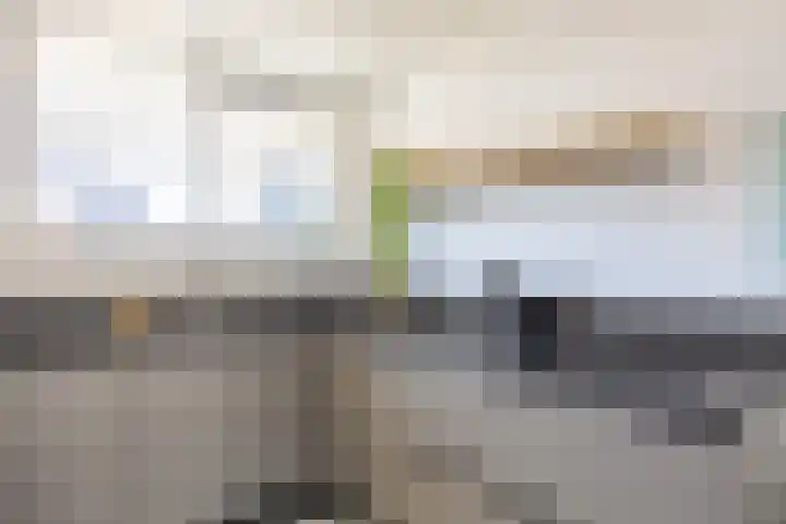 Rietgans 11 Bedum thumbnail 28