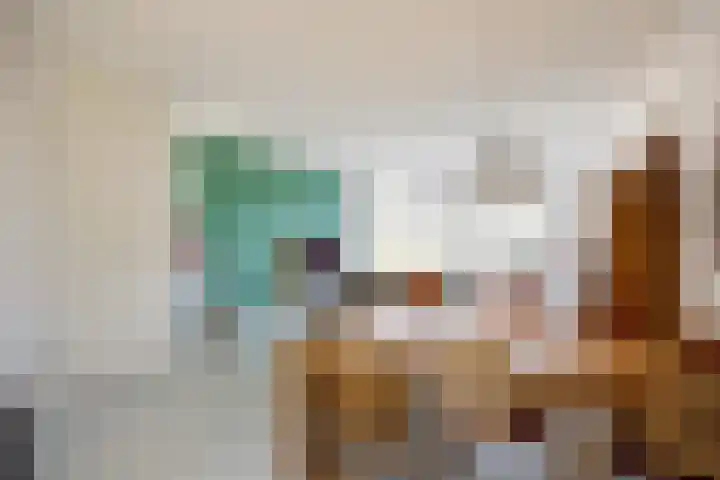 Rietgans 11 Bedum thumbnail 31