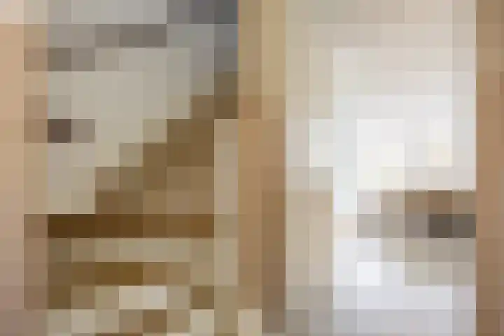 Rietgans 11 Bedum thumbnail 32