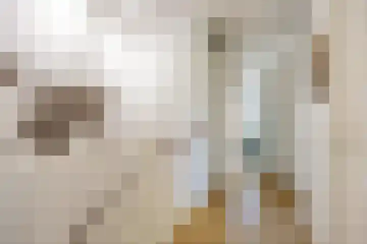 Rietgans 11 Bedum thumbnail 34