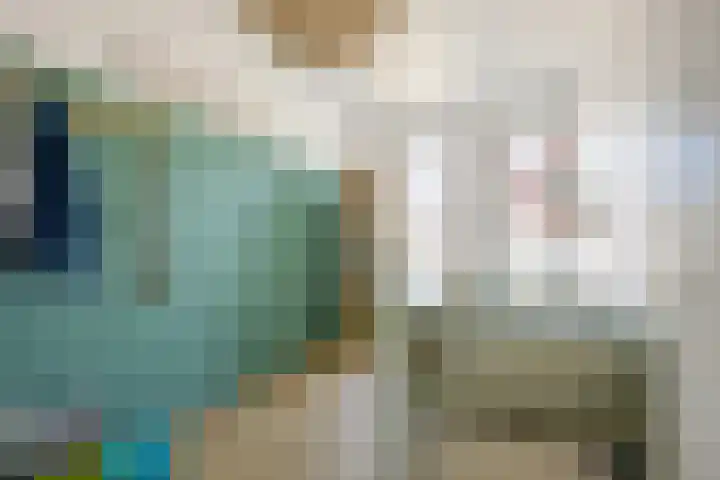 Rietgans 11 Bedum thumbnail 35
