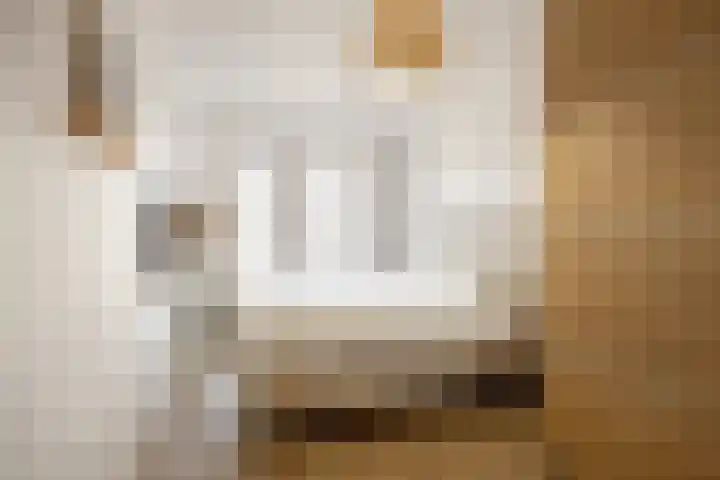 Rietgans 11 Bedum thumbnail 37