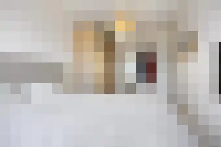Rietgans 11 Bedum thumbnail 38
