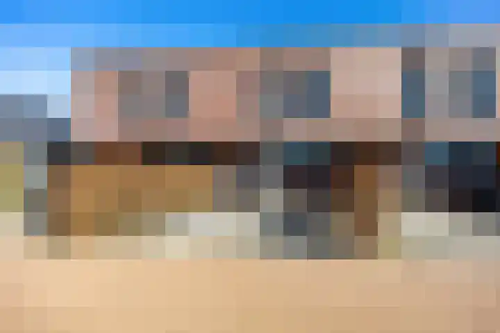 Rietgans 11 Bedum thumbnail 4