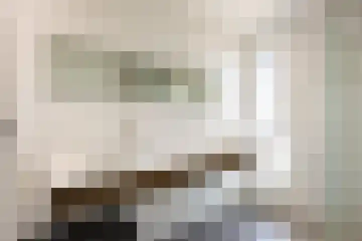 Rietgans 11 Bedum thumbnail 43