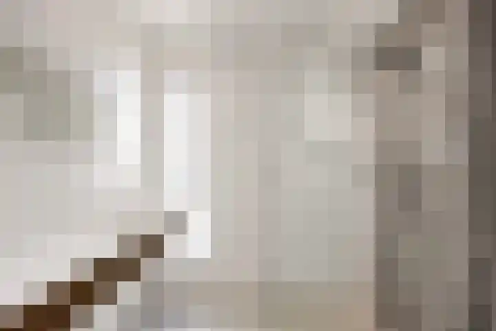 Rietgans 11 Bedum thumbnail 44