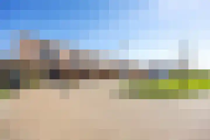 Rietgans 11 Bedum thumbnail 5