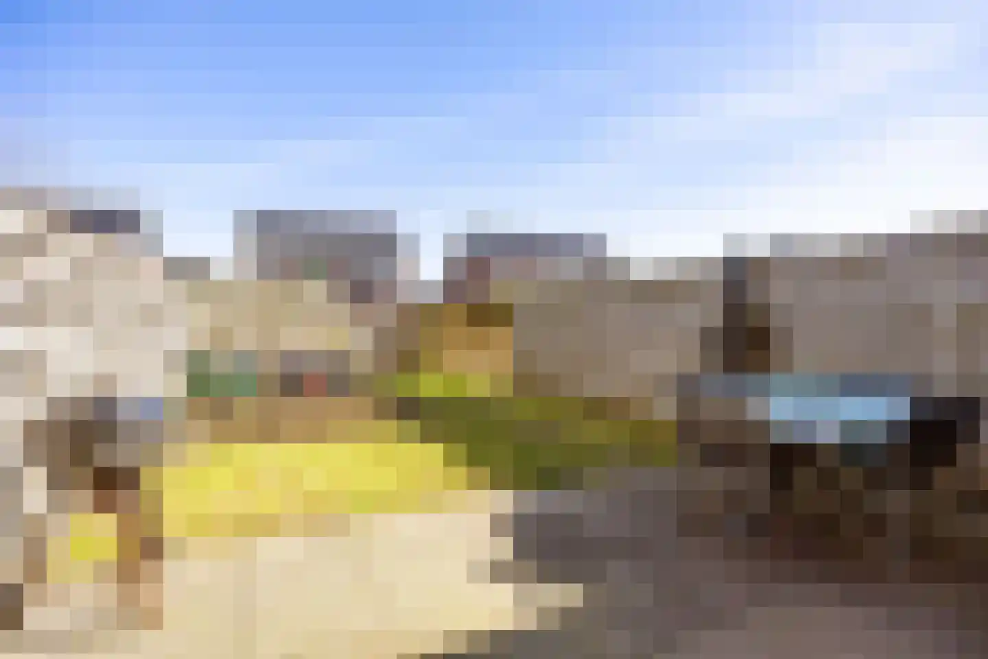 Rietgans 11 Bedum thumbnail 50