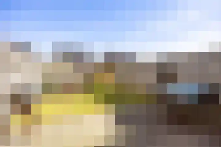 Rietgans 11 Bedum thumbnail 50