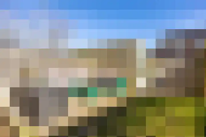 Rietgans 11 Bedum thumbnail 52