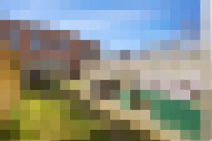 Rietgans 11 Bedum thumbnail 53