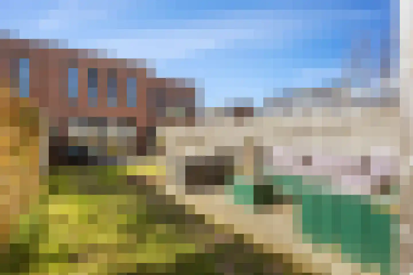 Rietgans 11 Bedum thumbnail 53