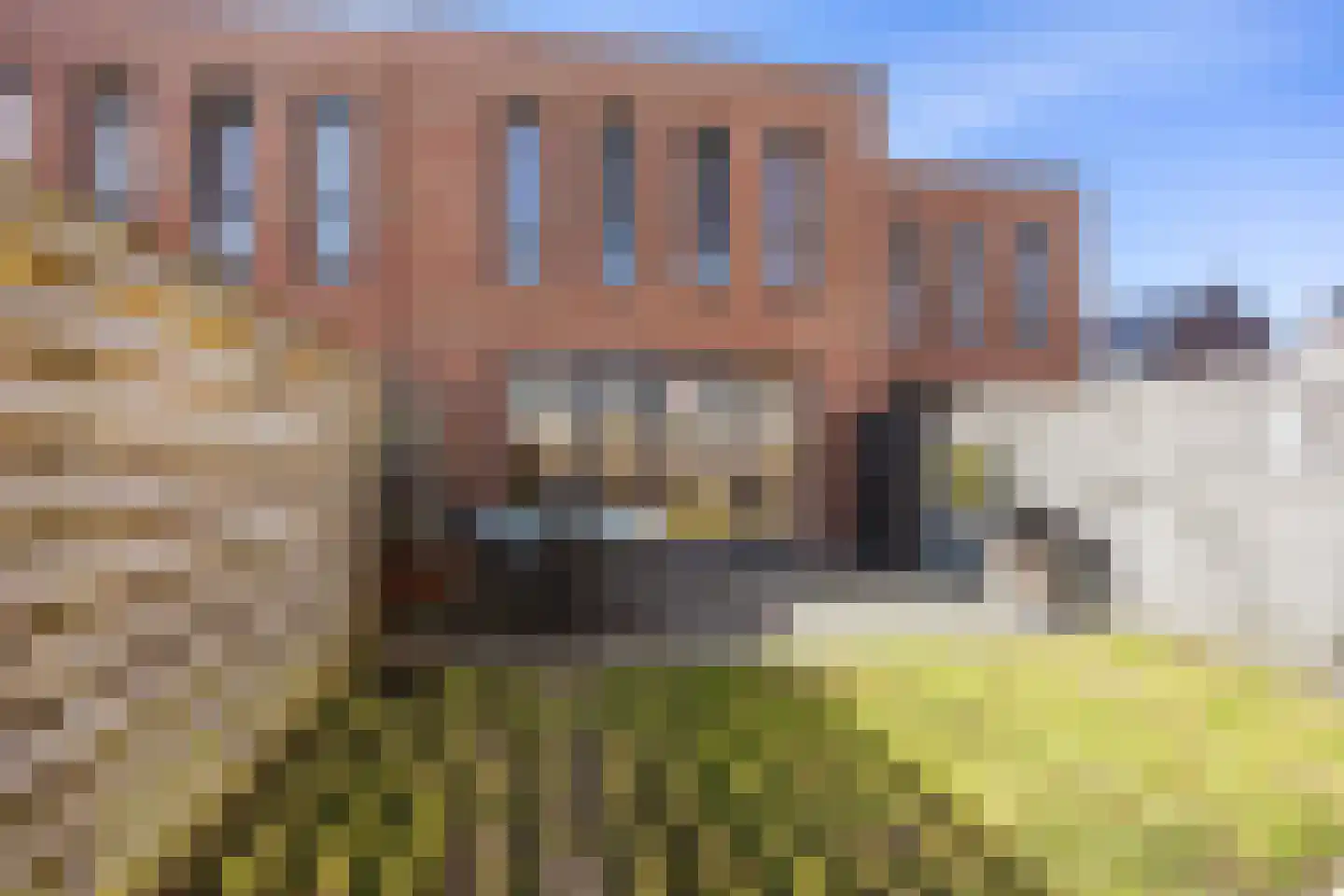Rietgans 11 Bedum thumbnail 54