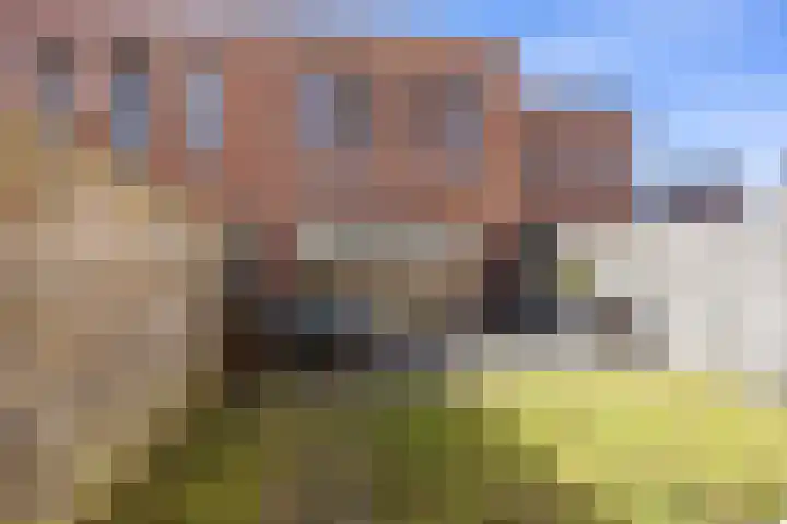 Rietgans 11 Bedum thumbnail 54