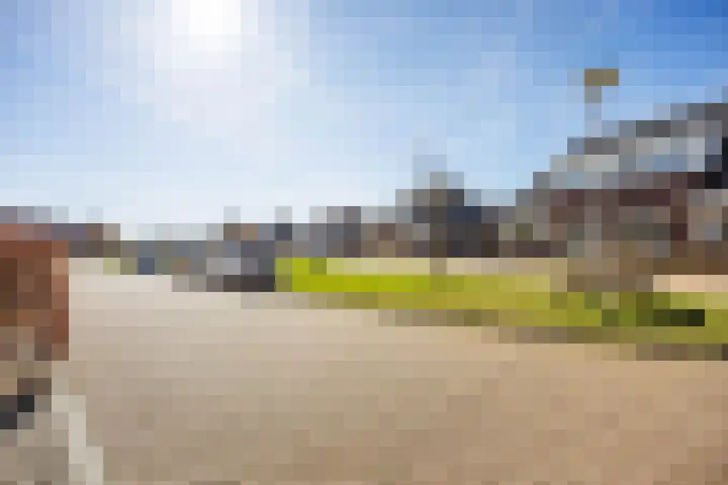 Rietgans 11 Bedum thumbnail 6