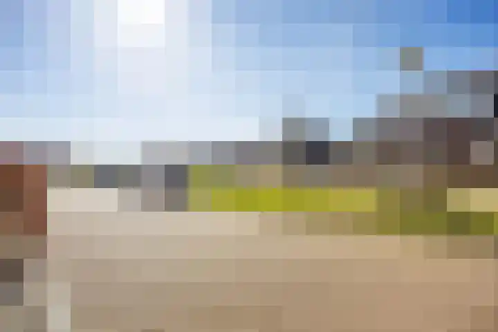 Rietgans 11 Bedum thumbnail 6