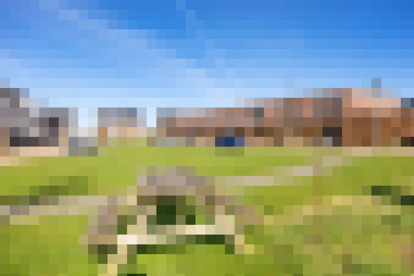 Rietgans 11 Bedum thumbnail 7