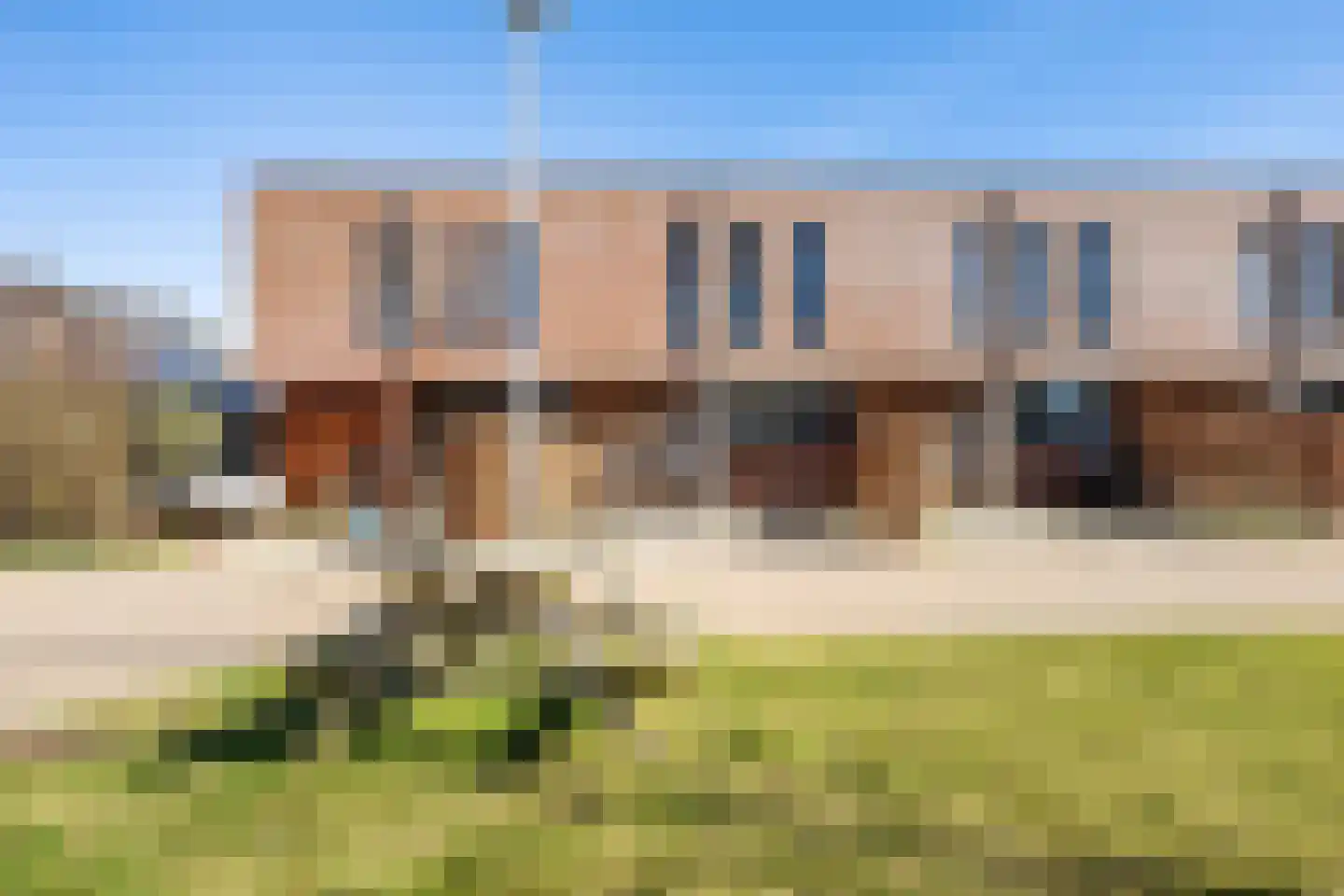 Rietgans 11 Bedum thumbnail 8