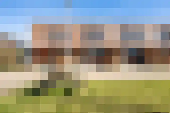 Rietgans 11 Bedum thumbnail 8