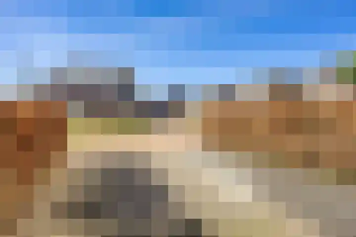Rietgans 11 Bedum thumbnail 9