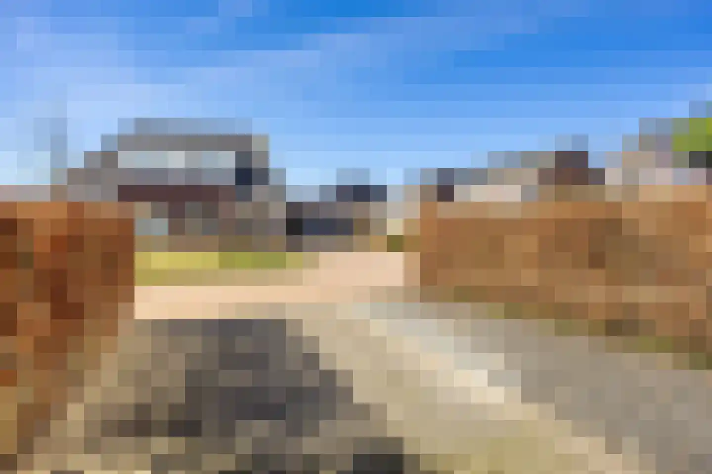 Rietgans 11 Bedum thumbnail 9