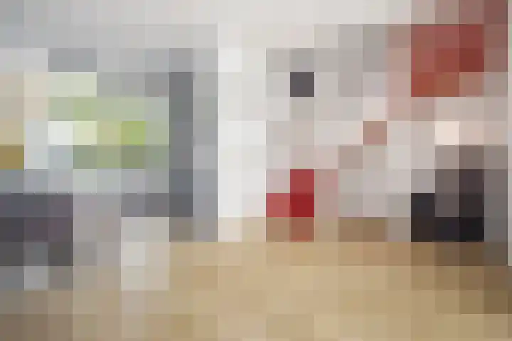 Rietgans 11 Hoogkarspel thumbnail 10