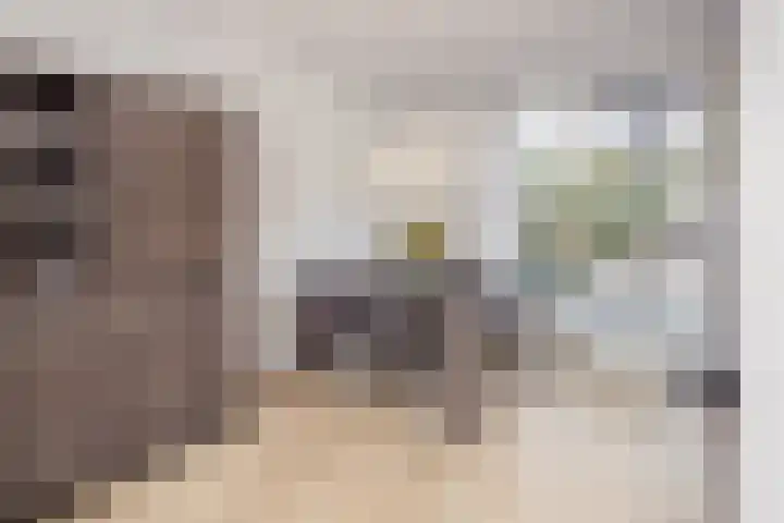 Rietgans 11 Hoogkarspel thumbnail 11