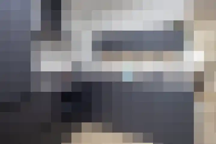 Rietgans 11 Hoogkarspel thumbnail 13