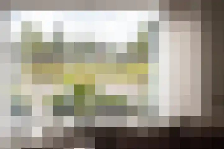 Rietgans 11 Hoogkarspel thumbnail 16