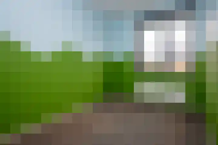 Rietgans 11 Hoogkarspel thumbnail 20