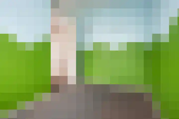 Rietgans 11 Hoogkarspel thumbnail 21