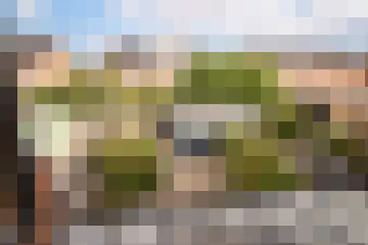 Rietgans 11 Hoogkarspel thumbnail 22
