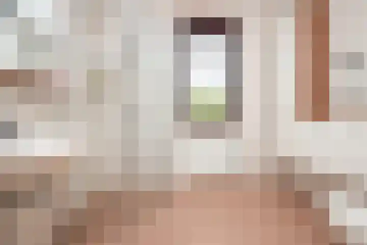 Rietgans 11 Hoogkarspel thumbnail 23