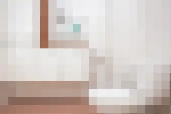 Rietgans 11 Hoogkarspel thumbnail 24