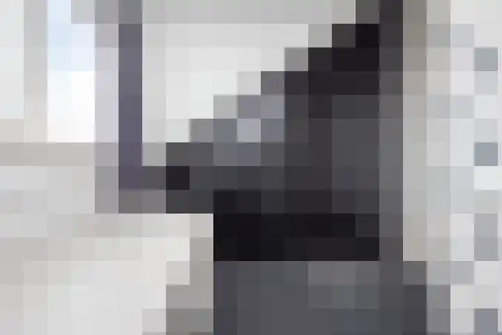 Rietgans 11 Hoogkarspel thumbnail 27