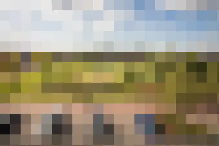 Rietgans 11 Hoogkarspel thumbnail 29