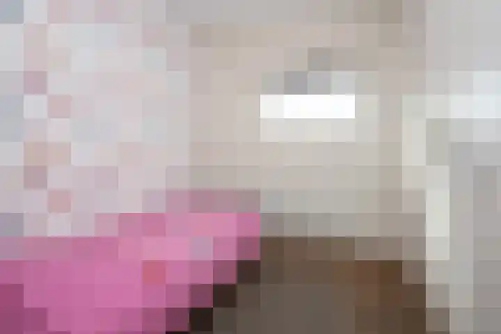 Rietgans 11 Hoogkarspel thumbnail 30