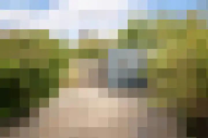 Rietgans 11 Hoogkarspel thumbnail 32